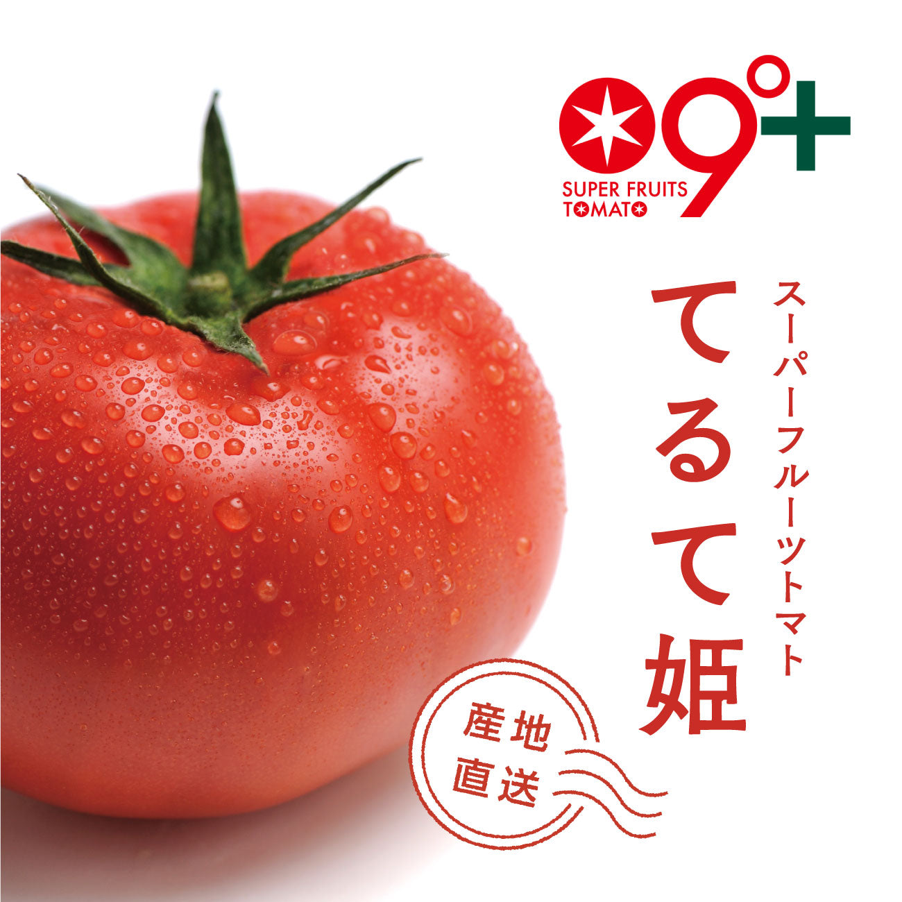スーパーフルーツトマト てるて姫 産地直送