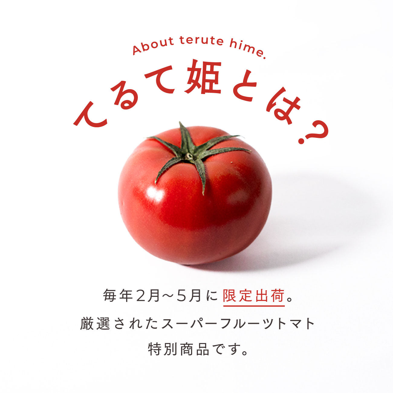 てるて姫とは?毎年2月〜5月に限定出荷。厳選されたスーパーフルーツトマト特別商品です。
