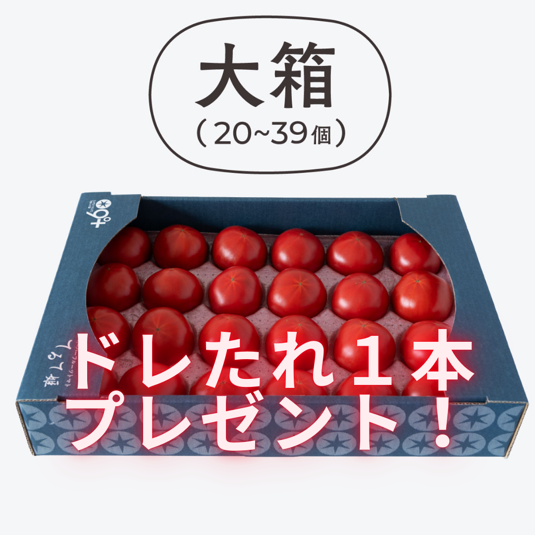 てるて姫3ヵ月定期便(プレゼント付)