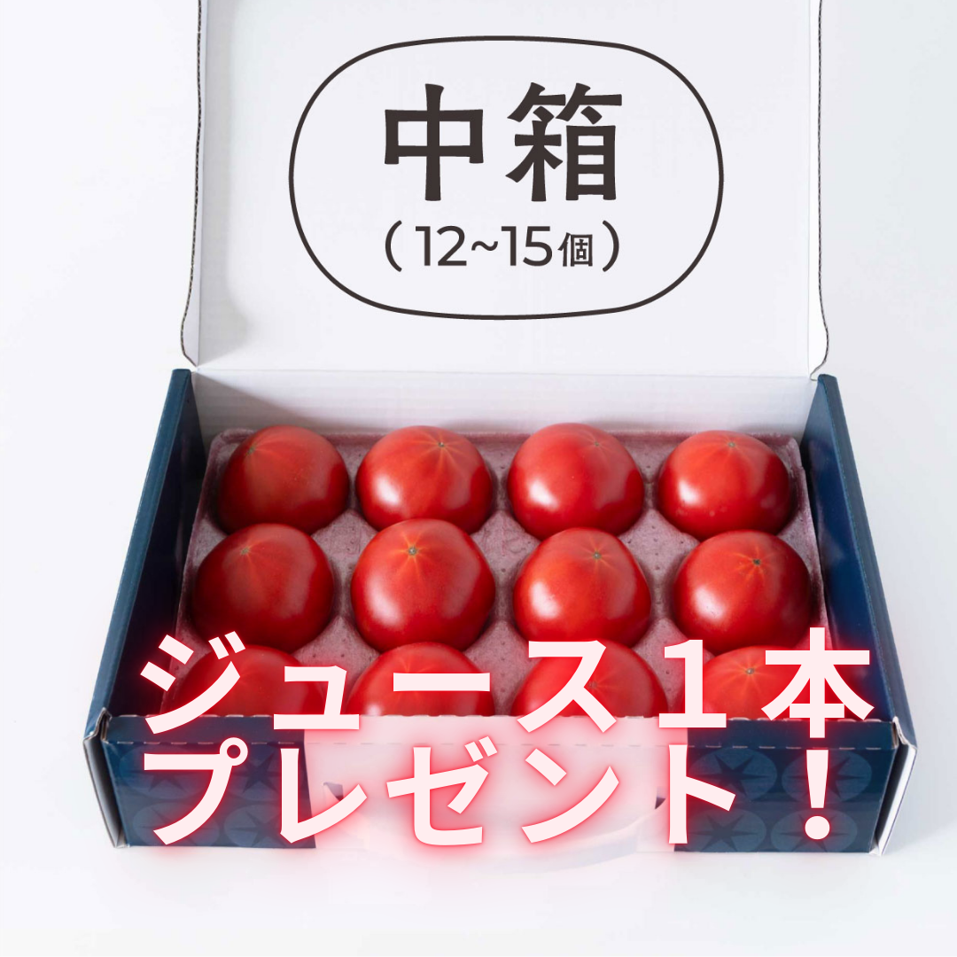 てるて姫3ヵ月定期便(プレゼント付)
