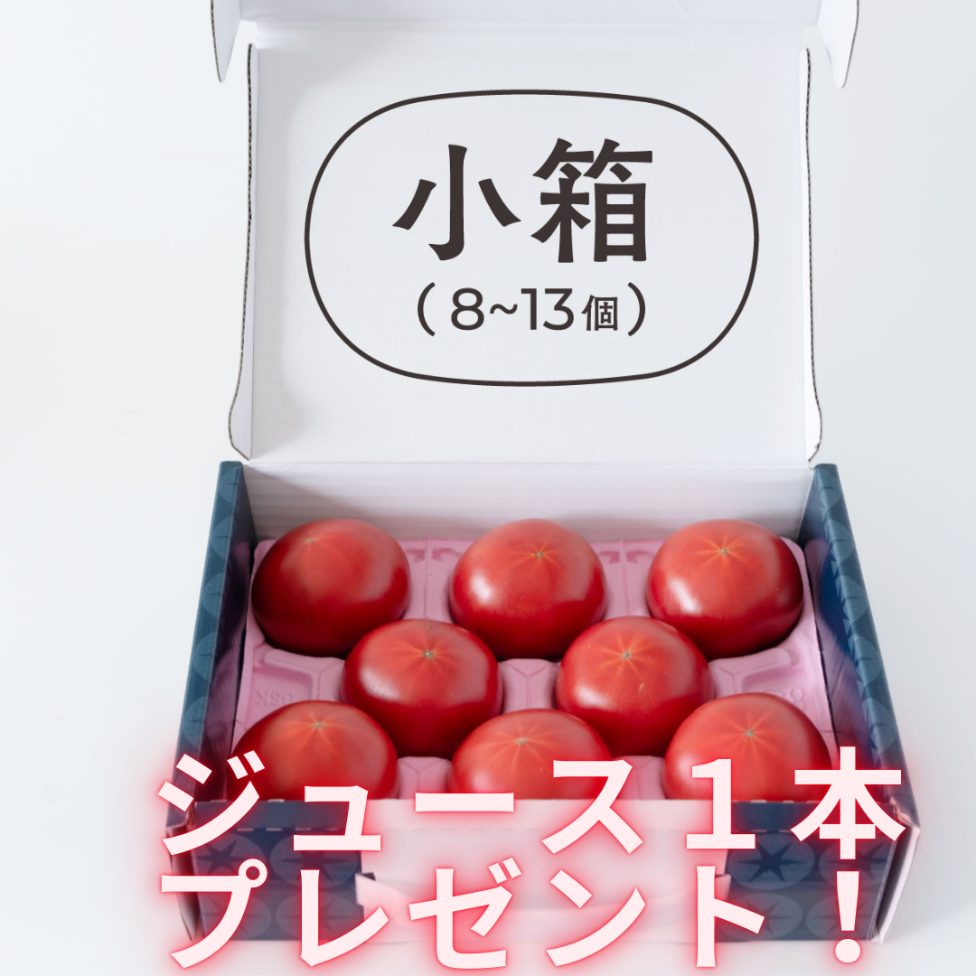 てるて姫3ヵ月定期便(プレゼント付)