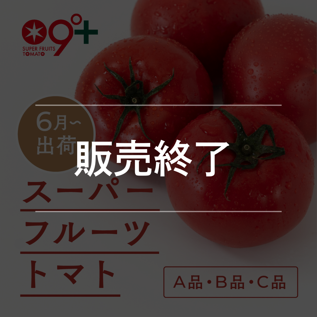 スーパーフルーツトマト(6月出荷)