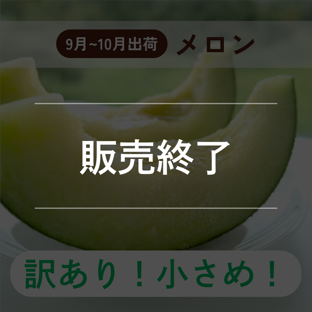 (訳あり!小さめ!)アールスメロン(9月-10月出荷)