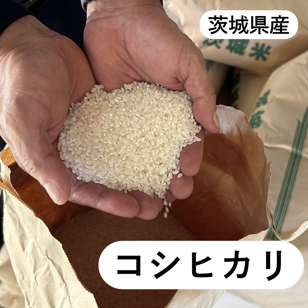 茨城県産コシヒカリ 令和7年産(9月下旬以降出荷)先行予約