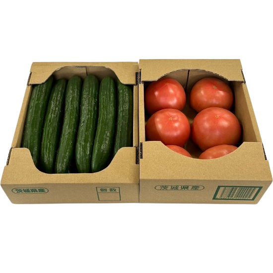 新鮮野菜セット(きゅうり・トマト)