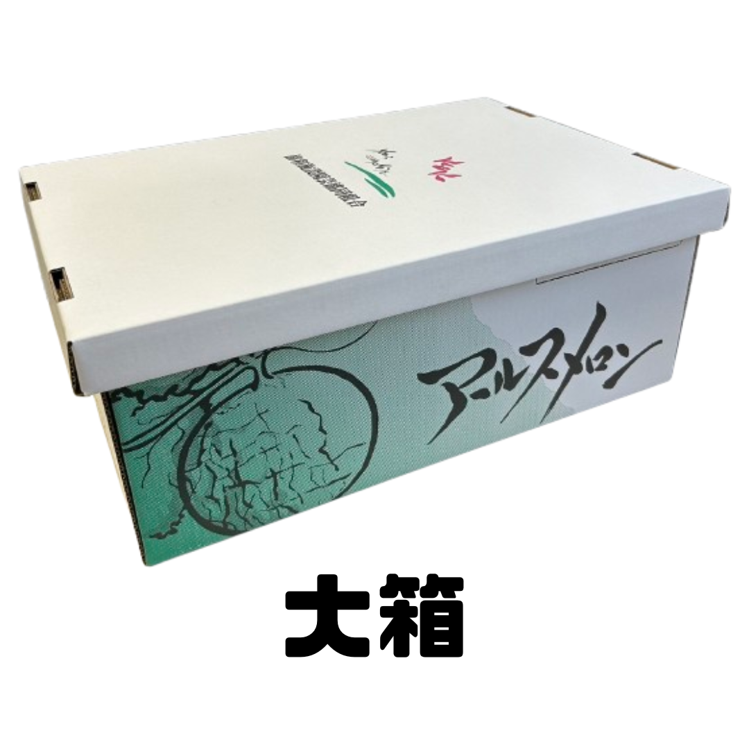 アールスメロン(9月-10月出荷)