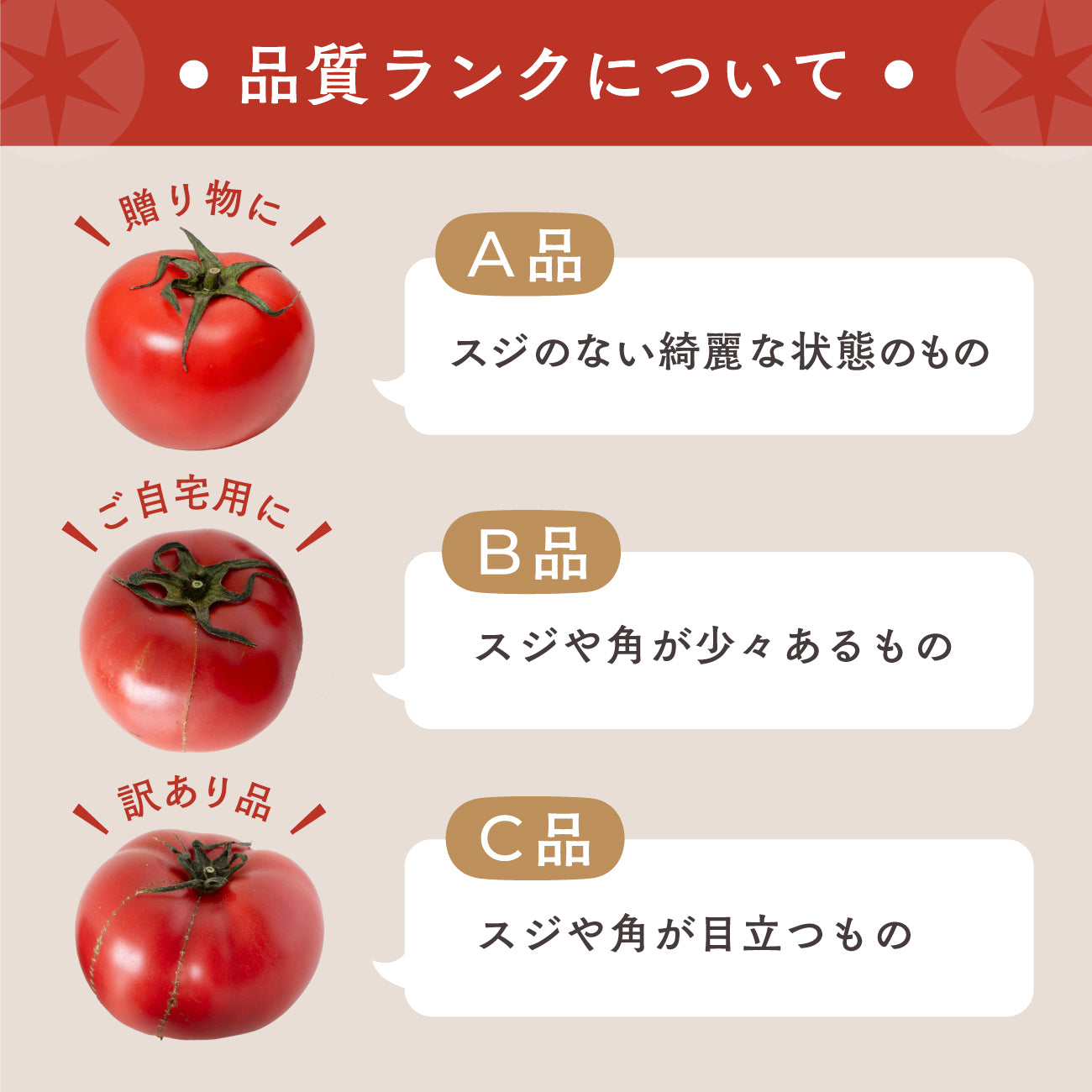 スーパーフルーツトマト(6月出荷)