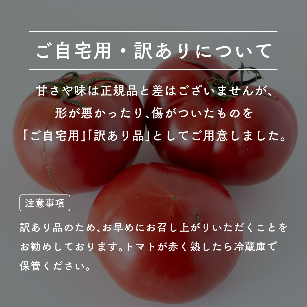 スーパーフルーツトマト ご自宅用/訳あり(2ー5月出荷)