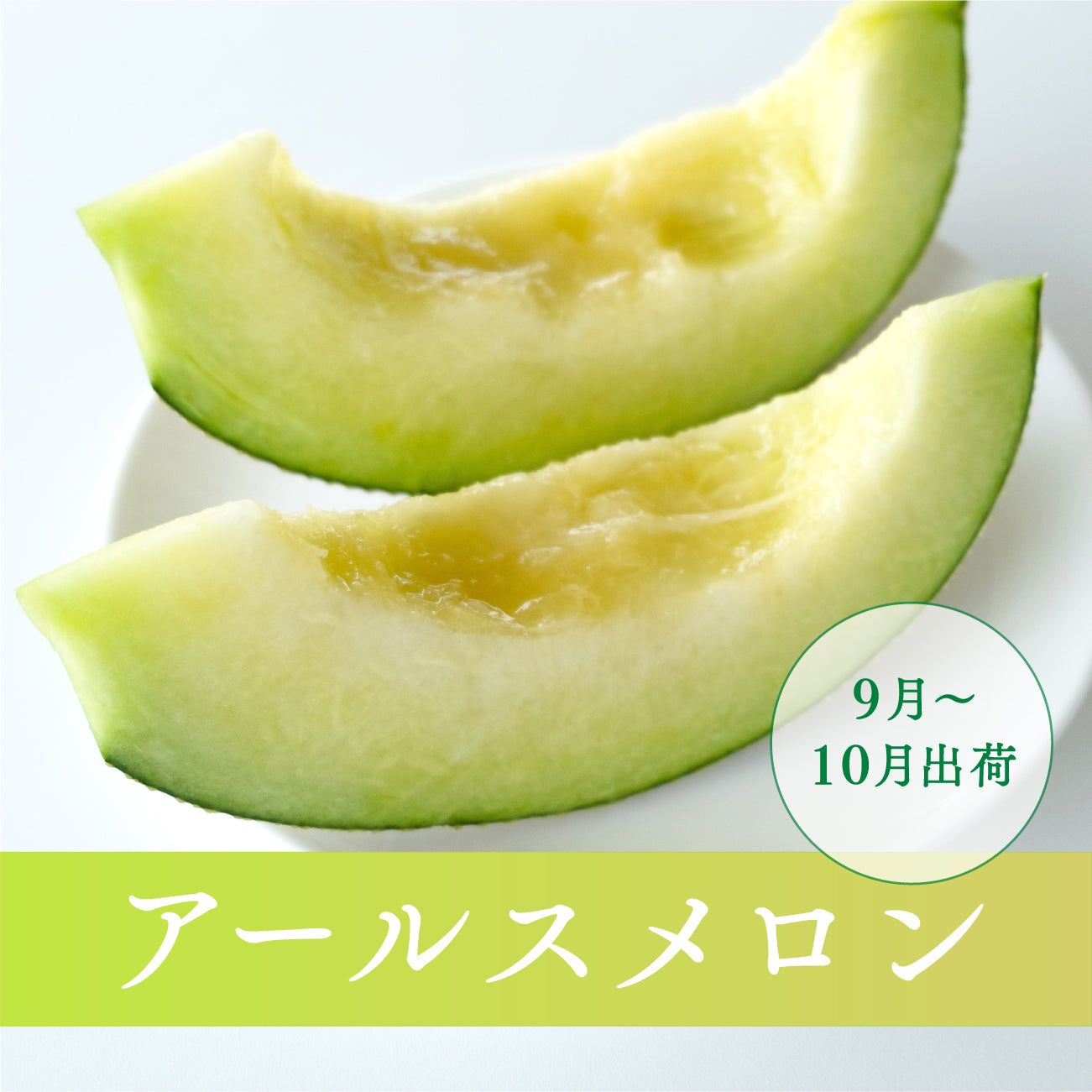 アールスメロン(9月-10月出荷)