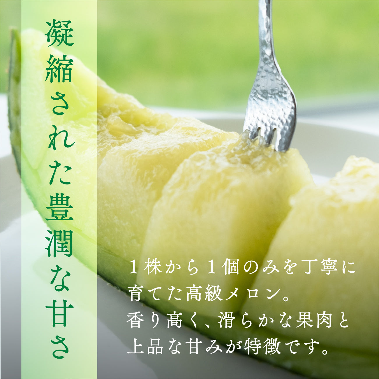(訳あり!小さめ!)アールスメロン(9月-10月出荷)