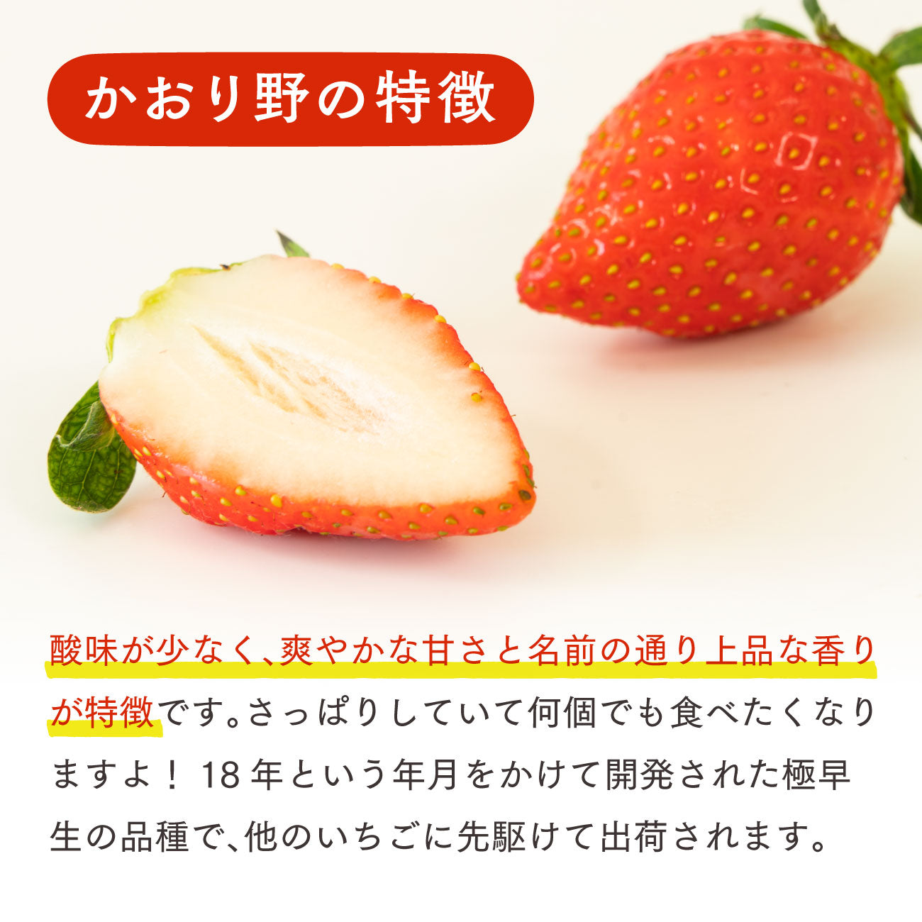 いちご かおり野