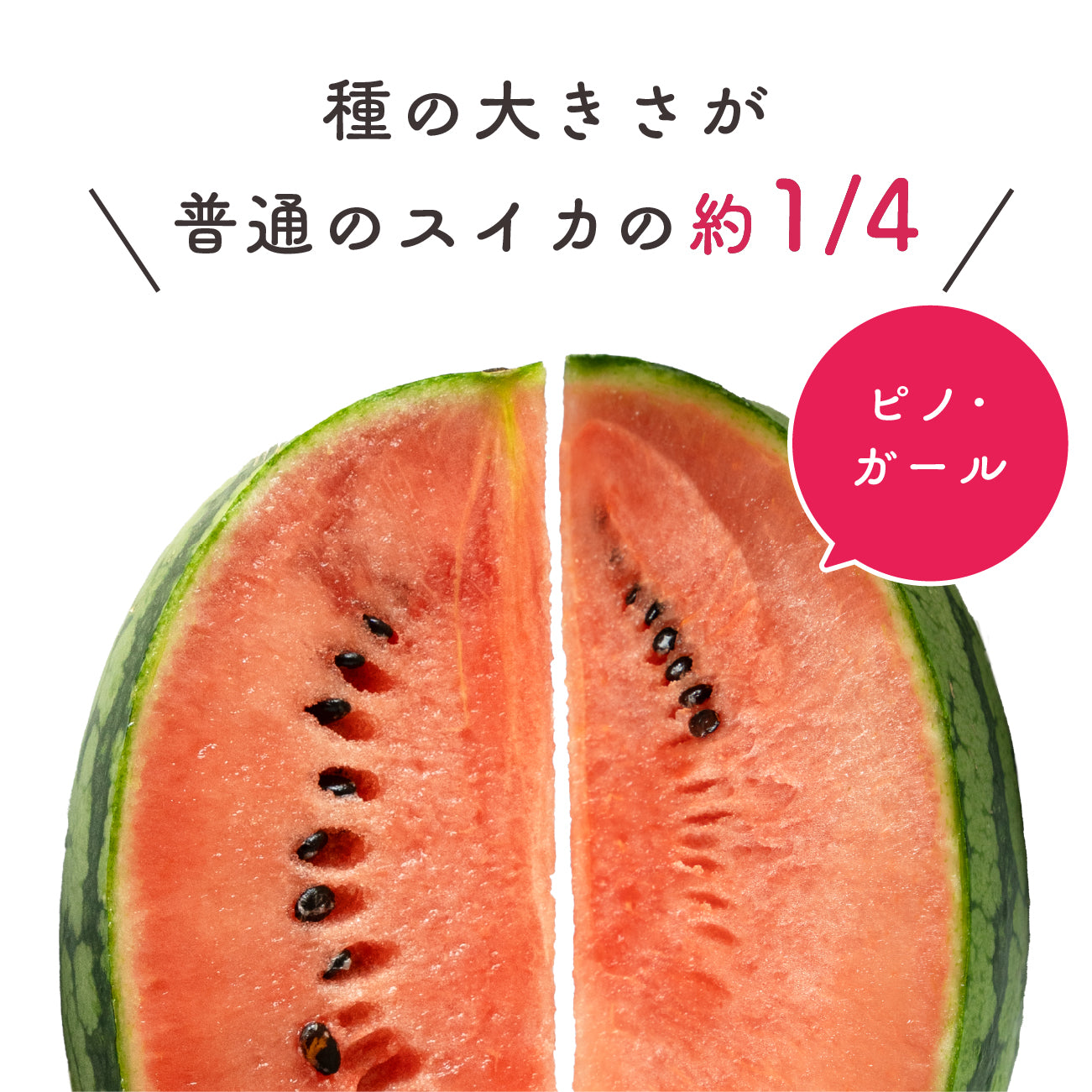 紅こだまスイカ ピノ・ガール