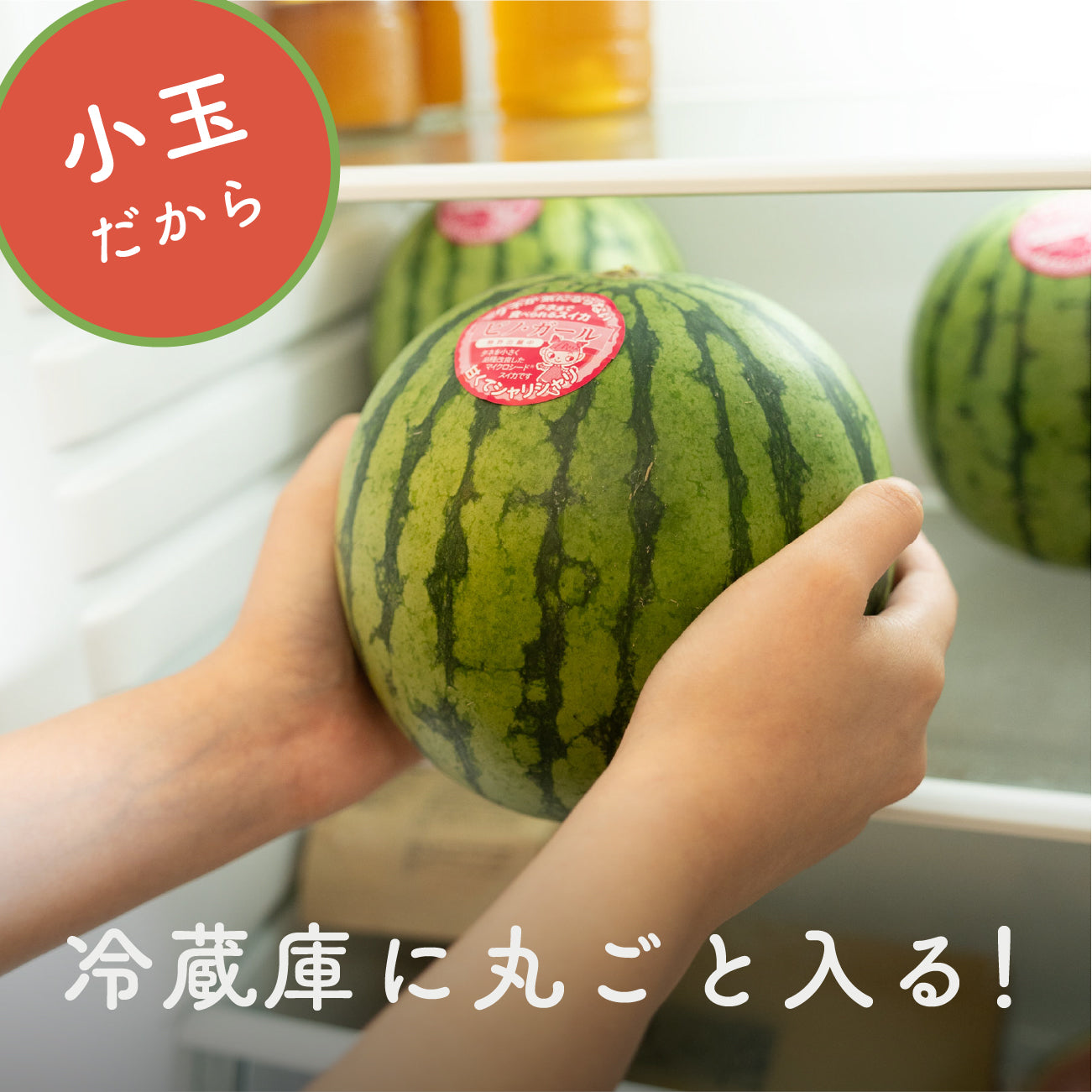 紅こだまスイカ ピノ・ガール
