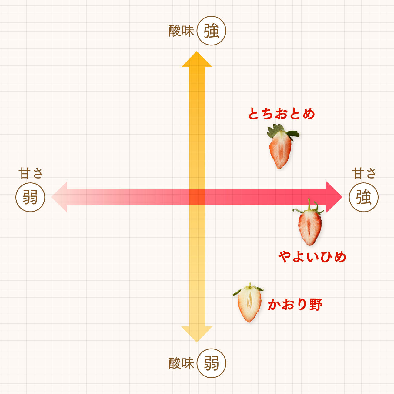 いちご とちおとめ