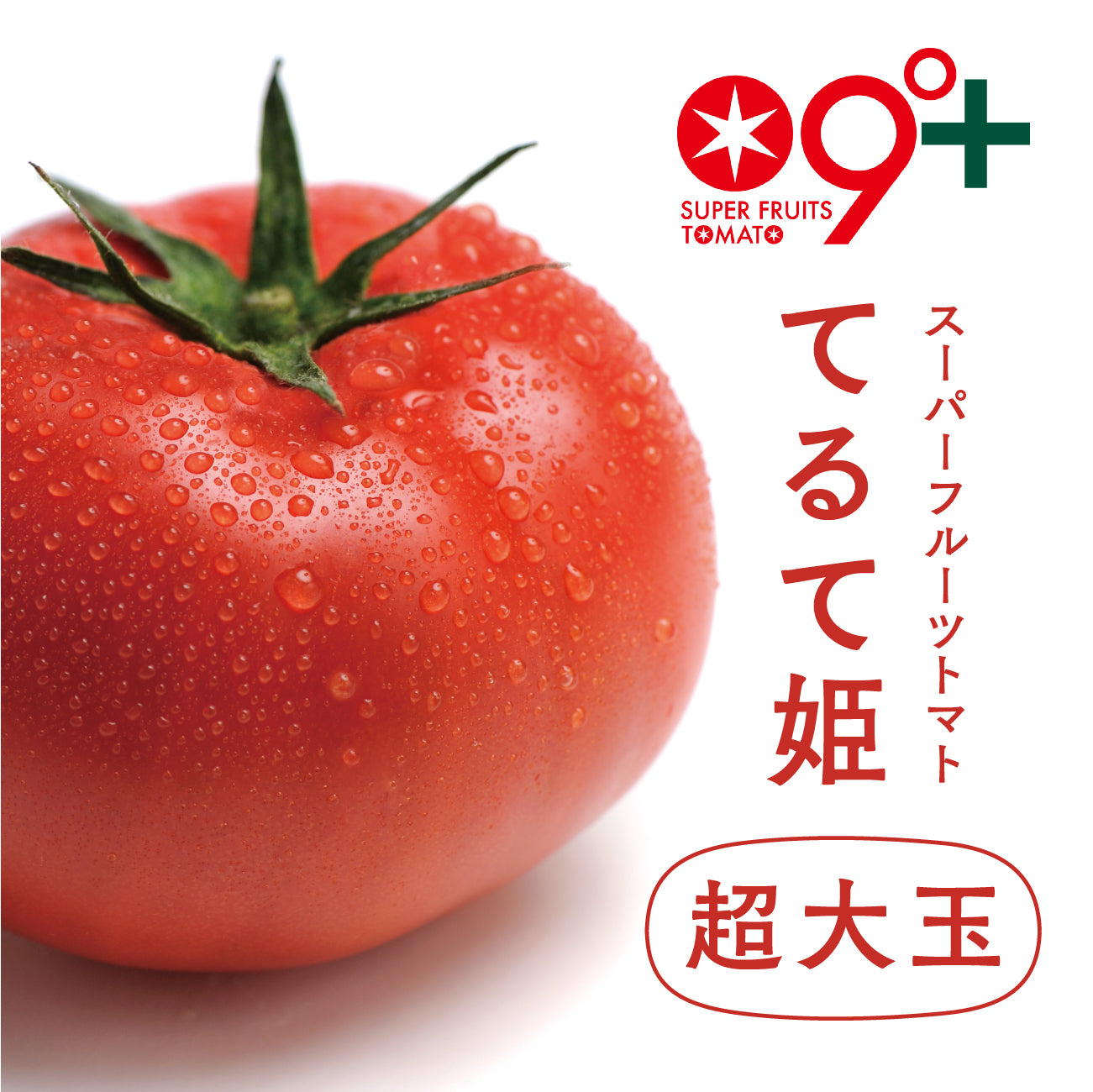 【てるて姫・超大玉】スーパーフルーツトマト（2ー5月出荷）