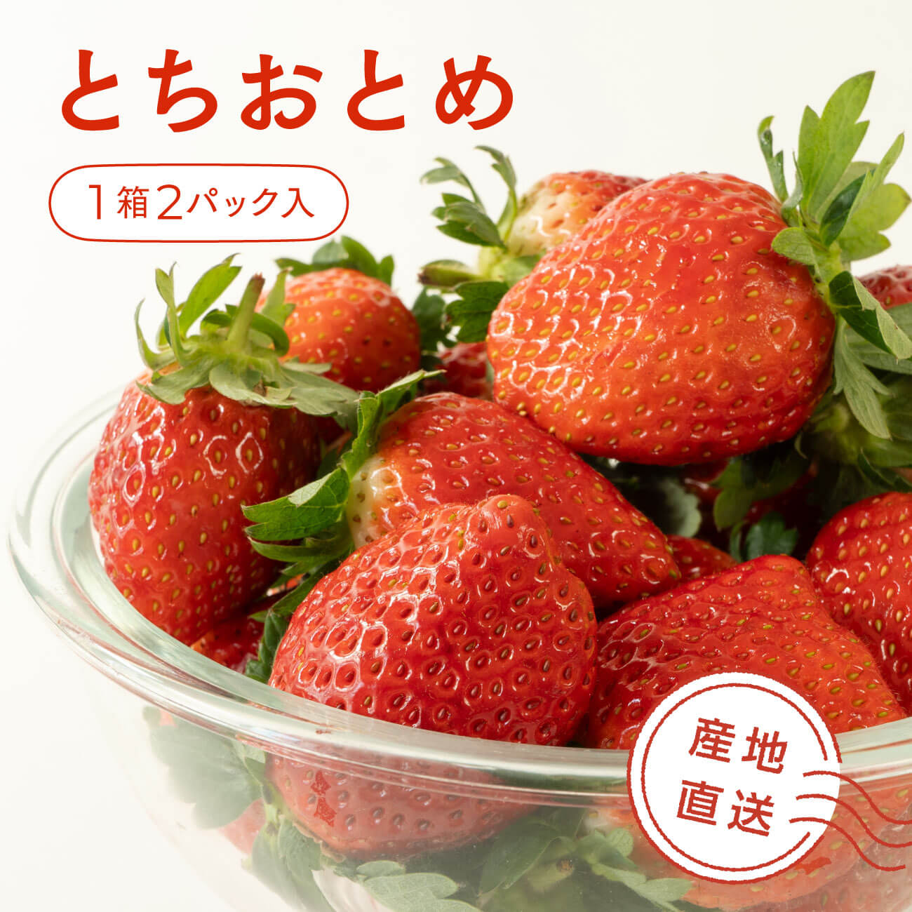 いちご とちおとめ