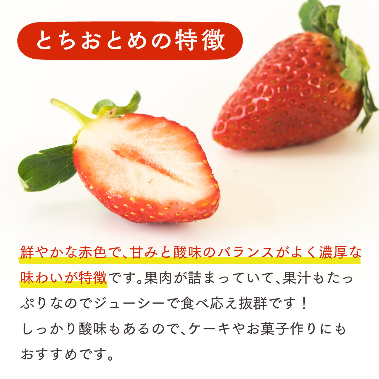 いちご とちおとめ