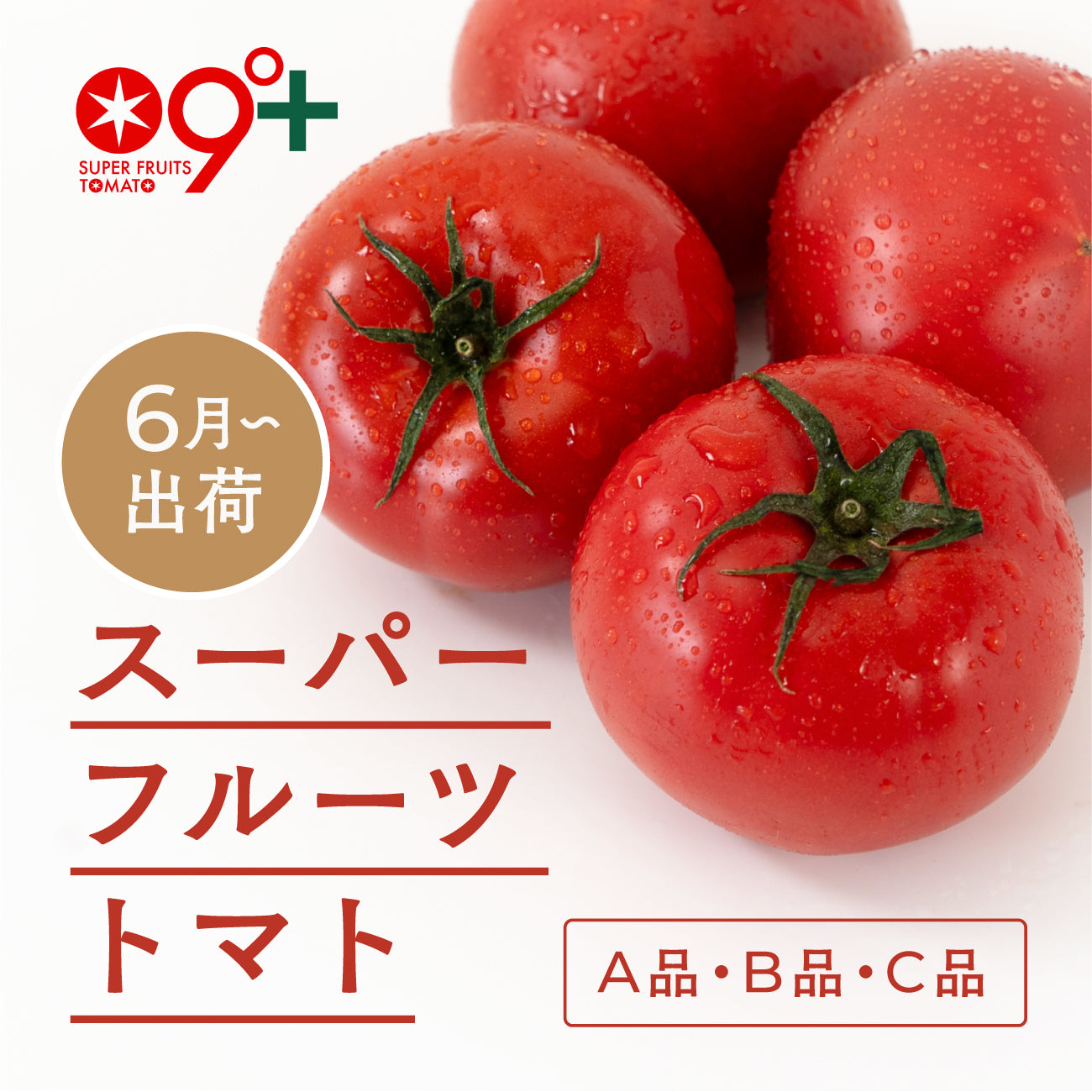 スーパーフルーツトマト(6月出荷)