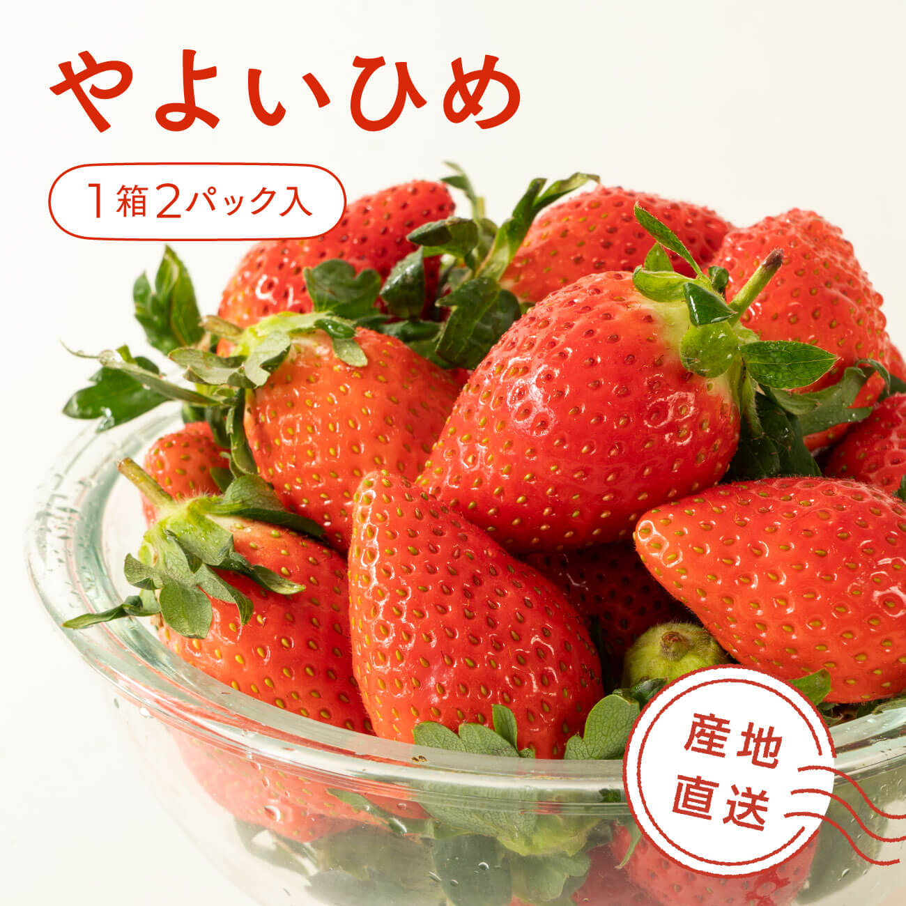 いちご やよいひめ