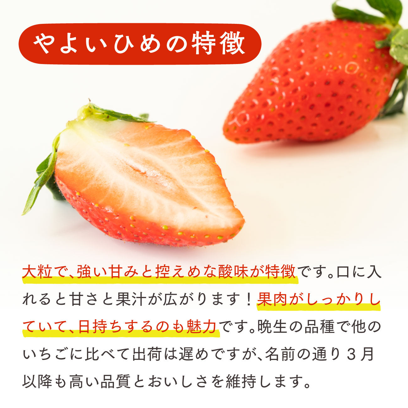 いちご やよいひめ