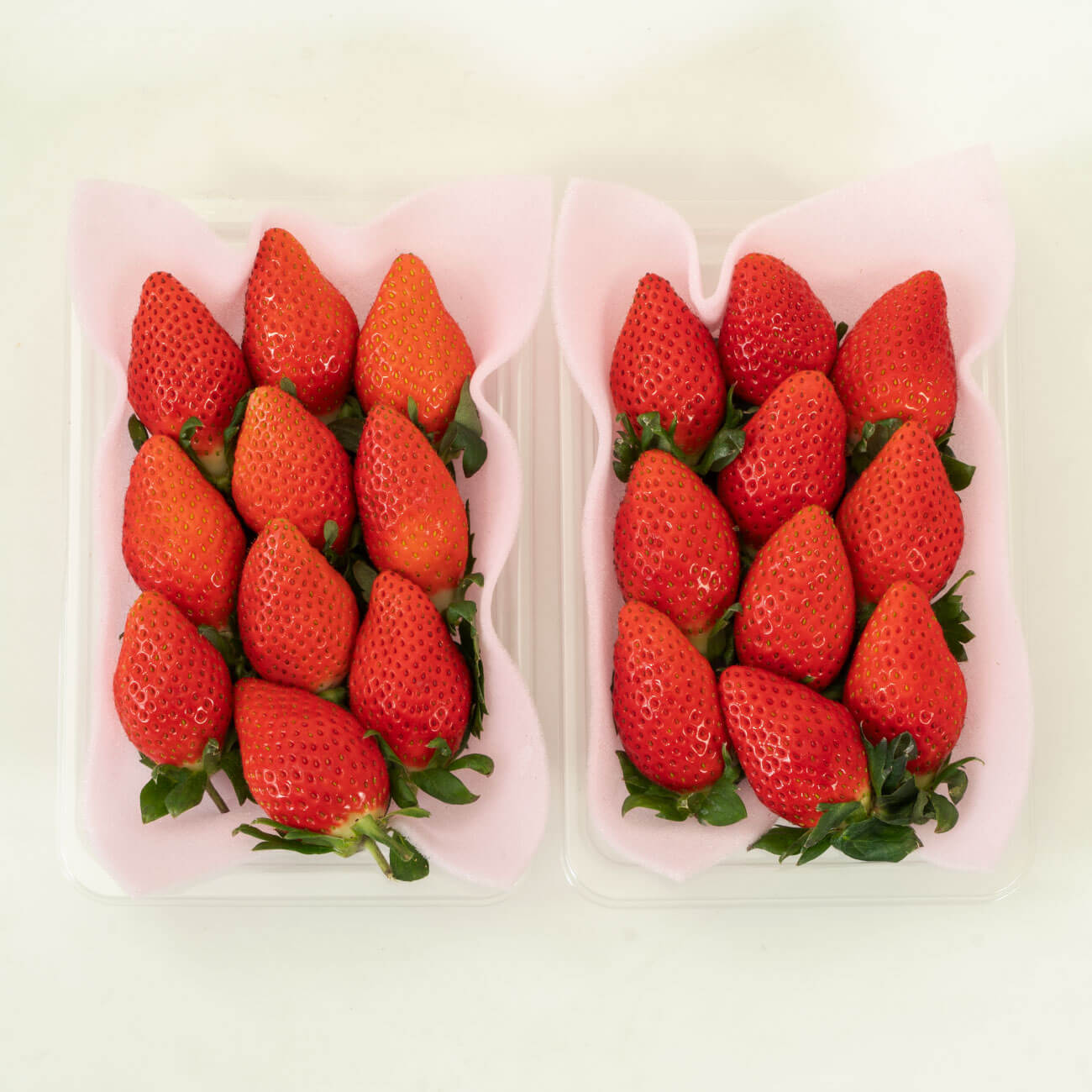 いちご やよいひめ