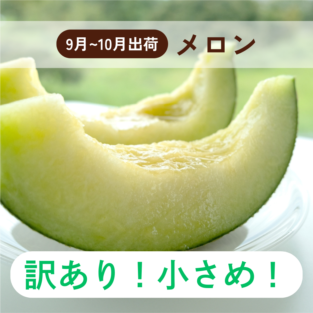 (訳あり!小さめ!)アールスメロン(9月-10月出荷)