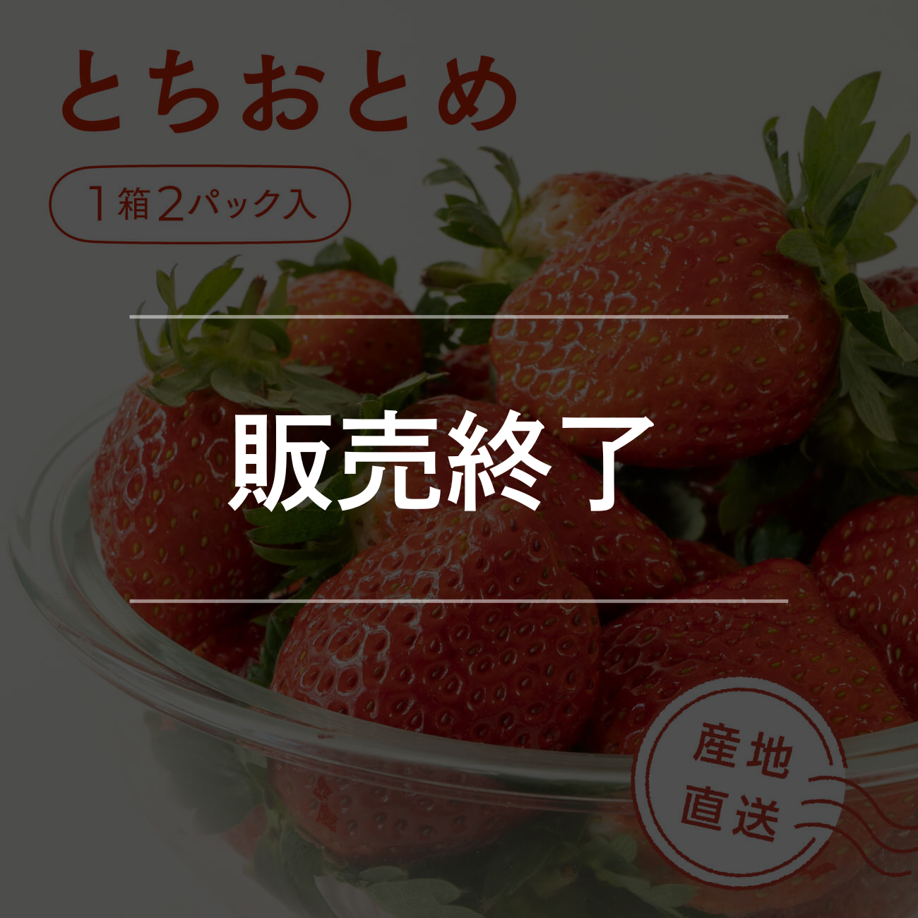いちご とちおとめ – KEKよかっぺマルシェ