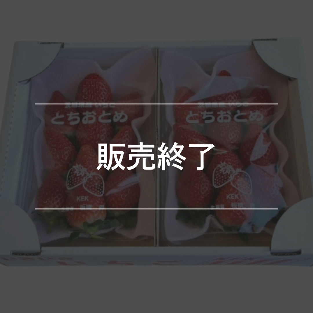 いちご とちおとめ