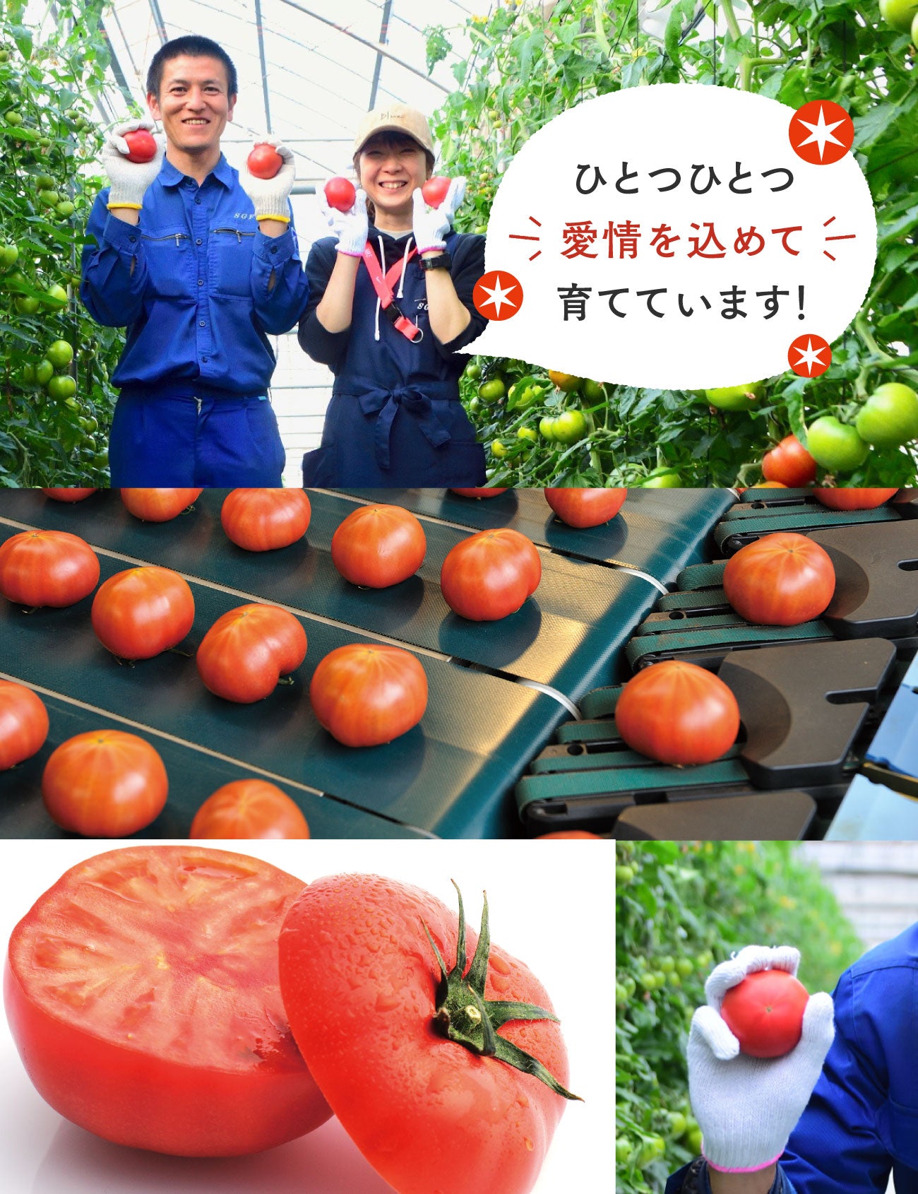 ひとつひとつ愛情を込めて育てています!