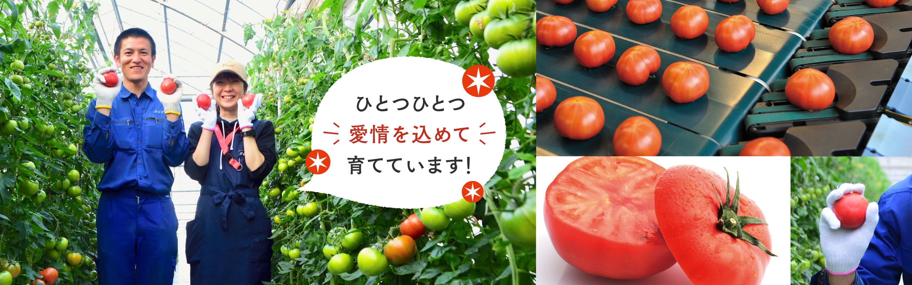 ひとつひとつ愛情を込めて育てています!