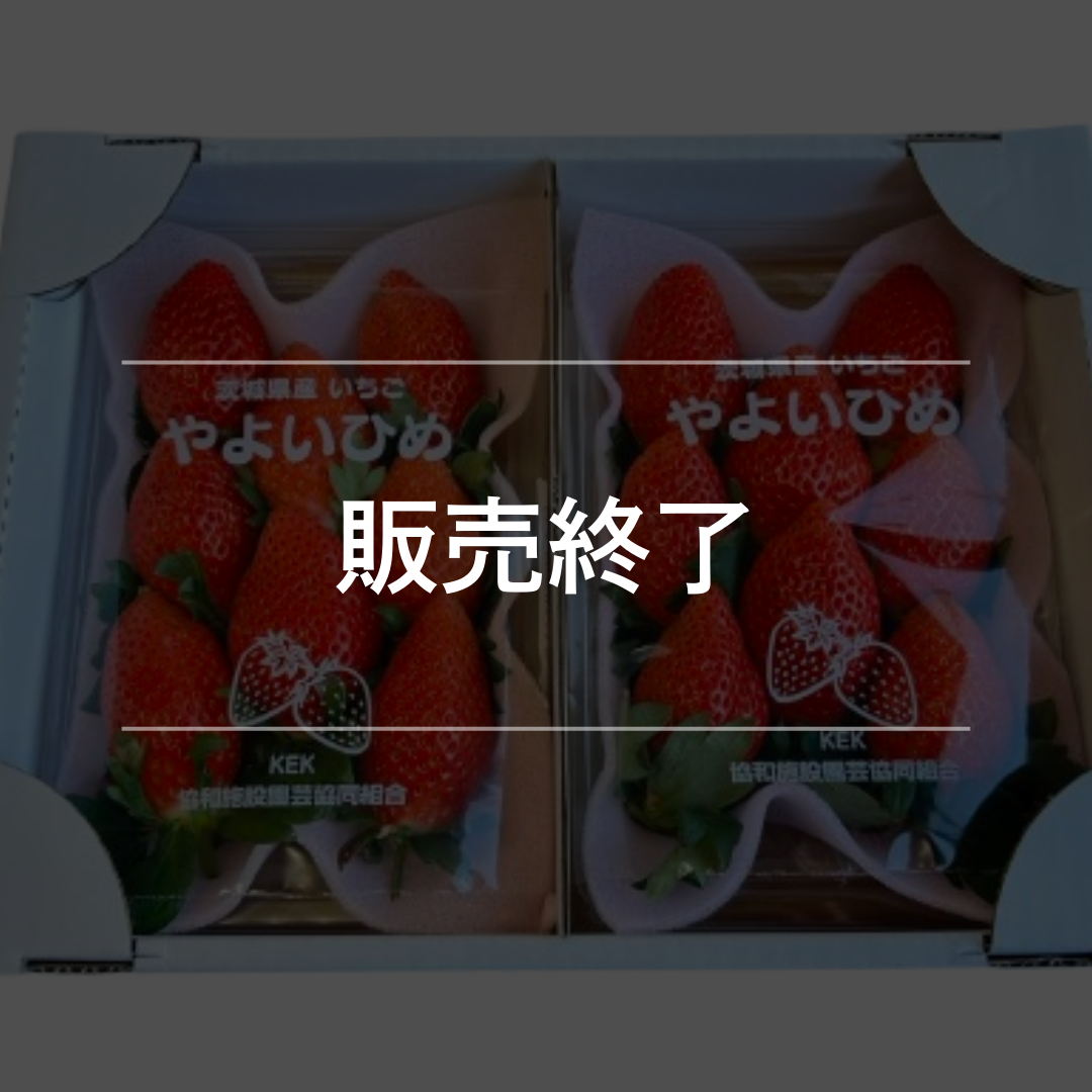 いちご やよいひめ