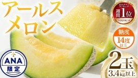 「ANAのふるさと納税」でも、メロンランキング第1位！