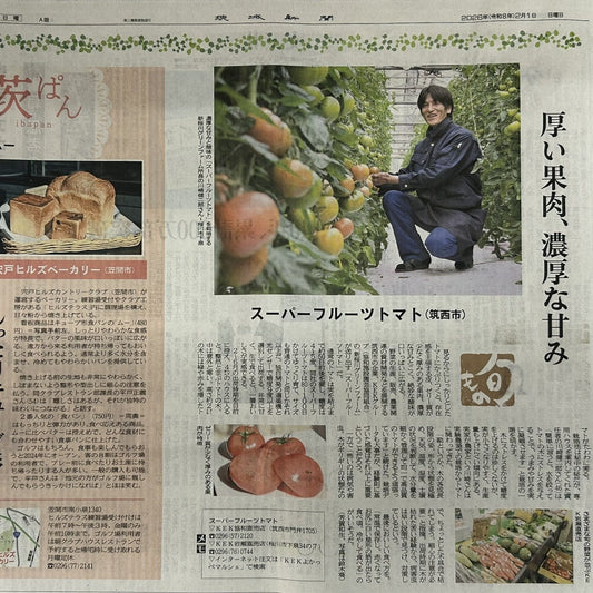 茨城新聞に掲載されました！