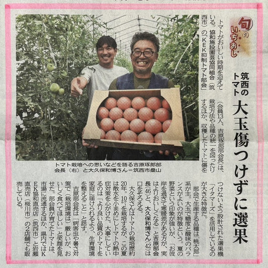茨城新聞に掲載されました！