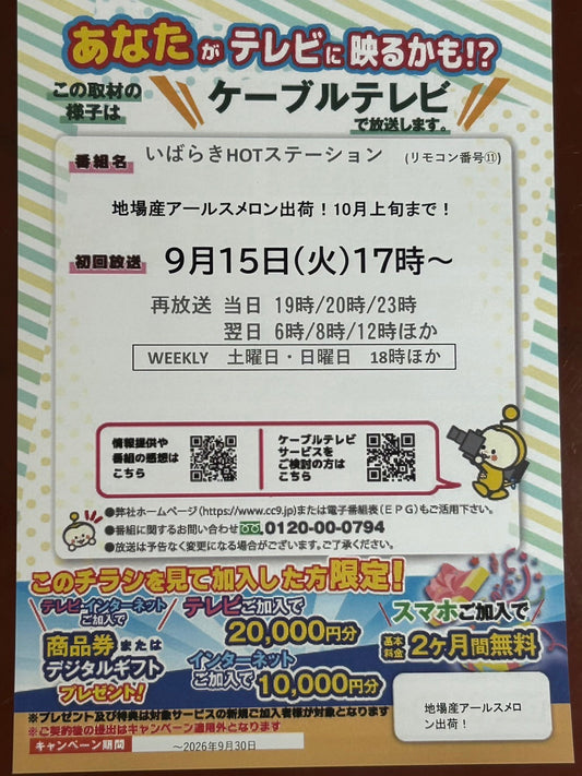 「いばらきHOTステーション」でアールスメロンが紹介されます！