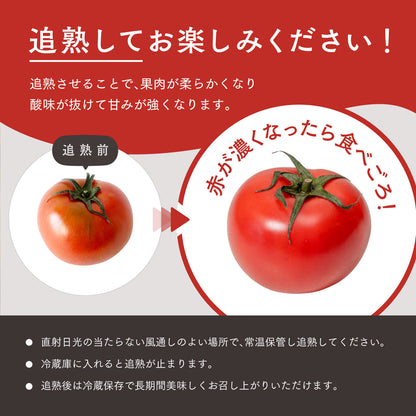 追熟してお楽しみください！追熟させることで、果肉が柔らかくなり酸味が抜けて甘味が強くなります。赤が濃くなったら食べごろです。