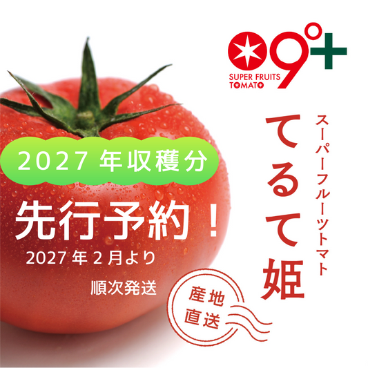 《2027年収穫分》先行予約！【てるて姫】スーパーフルーツトマト（2027年2ー3月出荷）