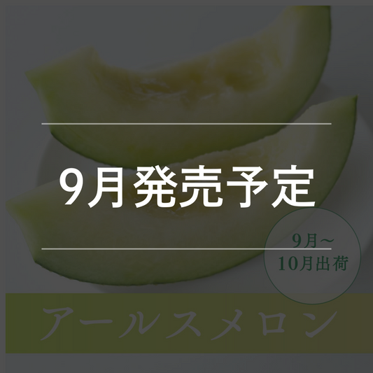 アールスメロン(９月－１０月出荷)