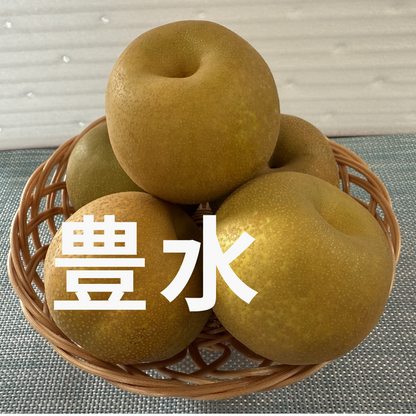 茨城県産　梨