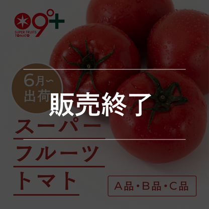 スーパーフルーツトマト（6月出荷）