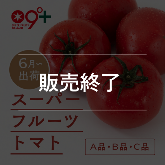 スーパーフルーツトマト（6月出荷）
