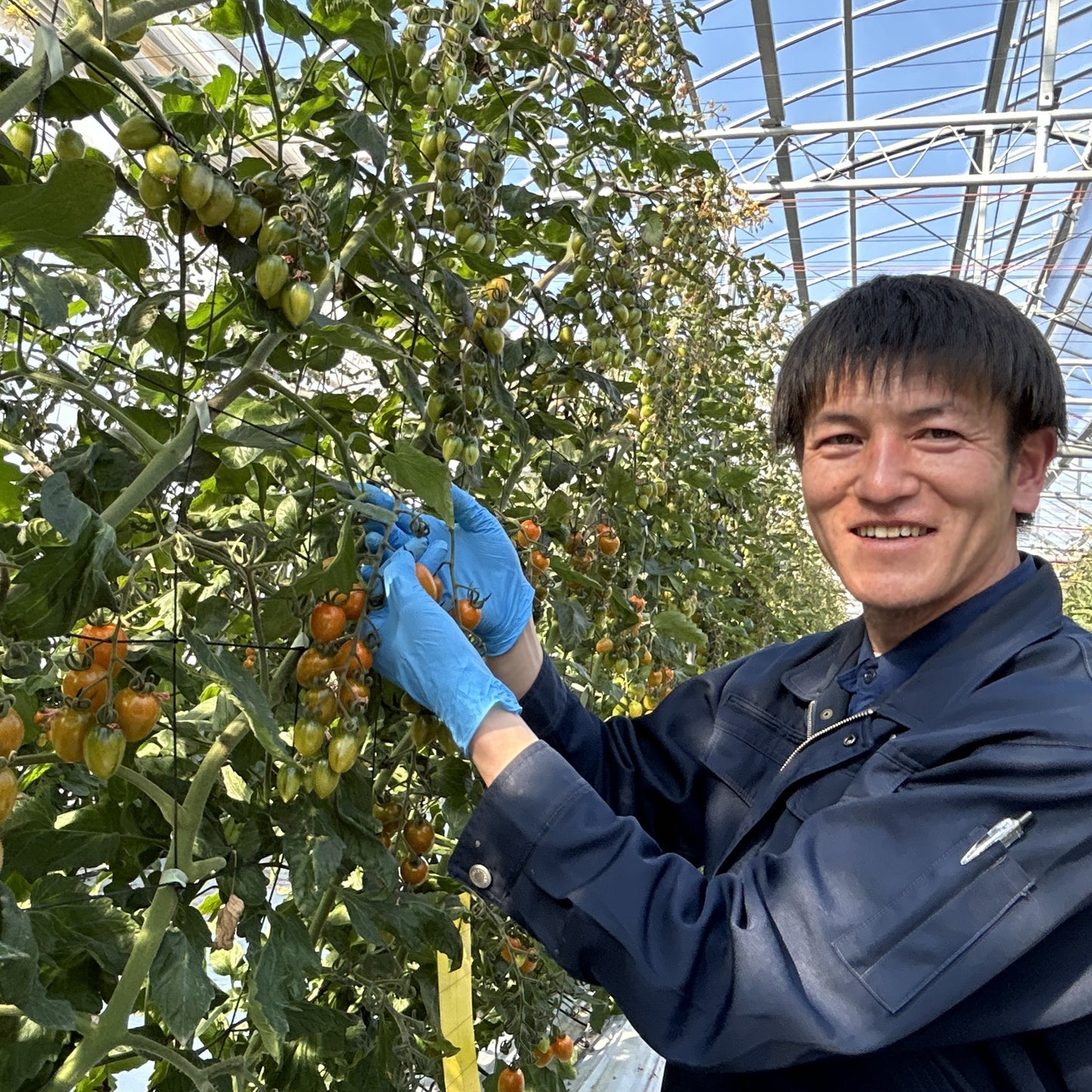 スーパーフルーツミニトマト1kg入