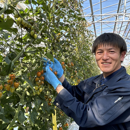 スーパーフルーツミニトマト1kg入