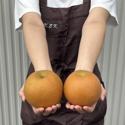 茨城県産　梨