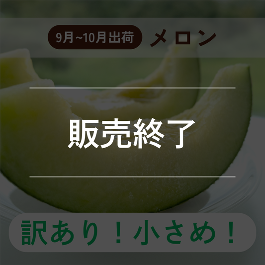 (訳あり！小さめ！）アールスメロン(９月－１０月出荷)