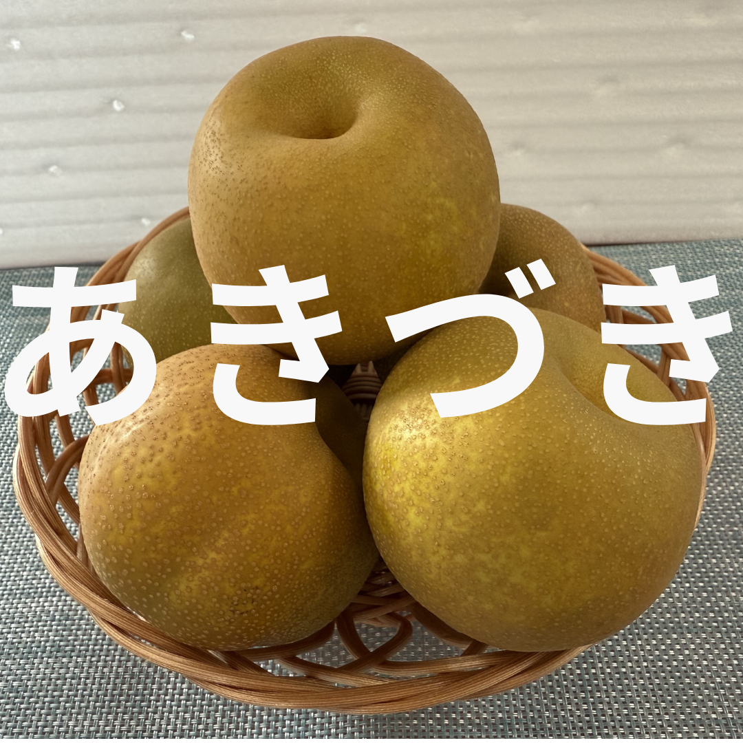 茨城県産　梨