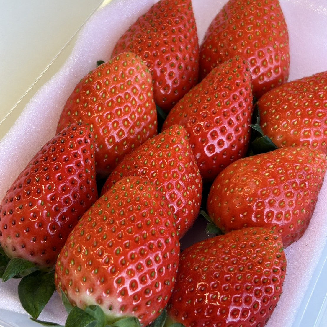 いちご　かおり野 (年内出荷分）