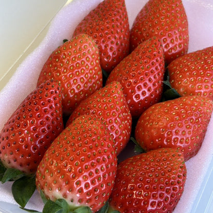 いちご　かおり野 (年内出荷分）