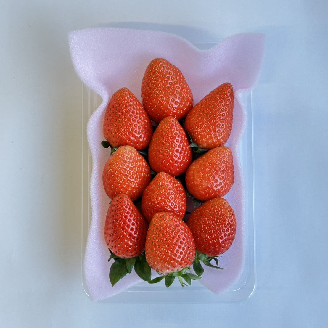 いちご　かおり野 (年内出荷分）