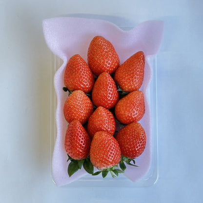 いちご　かおり野 (年内出荷分）